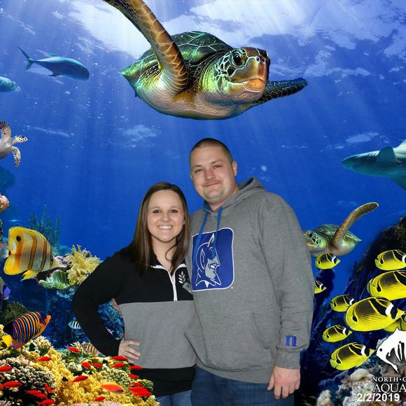 Meet your Posher, Tiffany - Picture 1 of 1